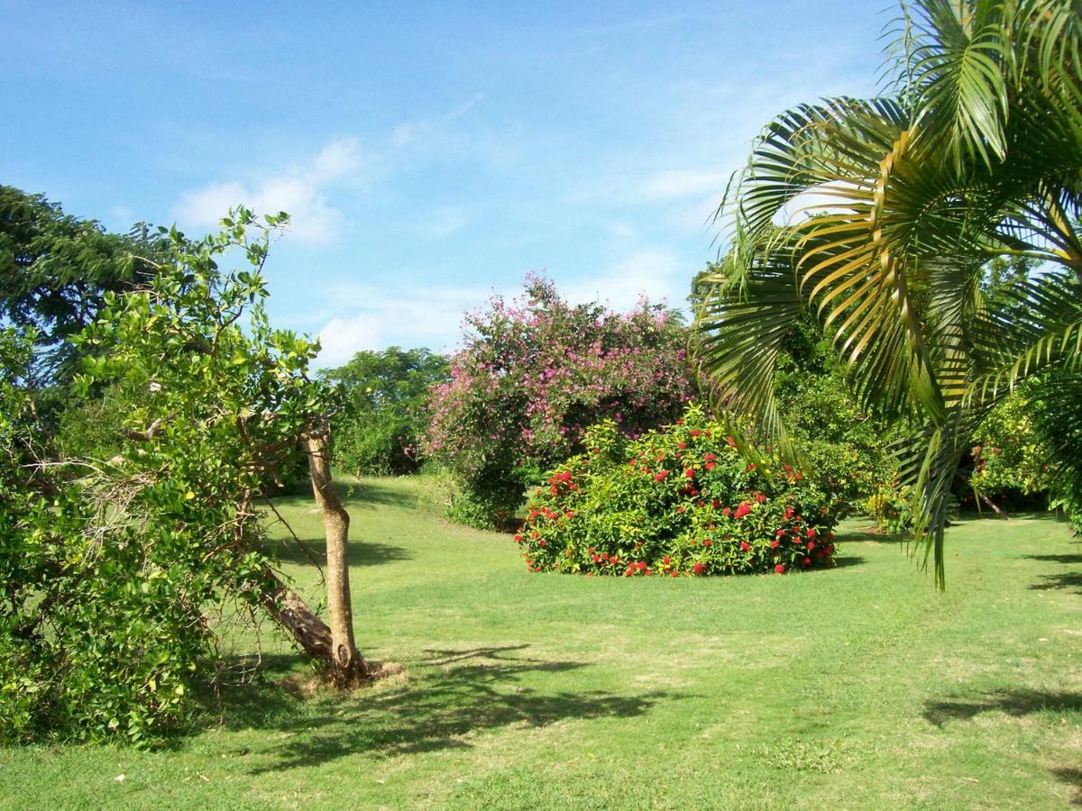 Ocean View Montego Bay Apartment Buitenkant foto